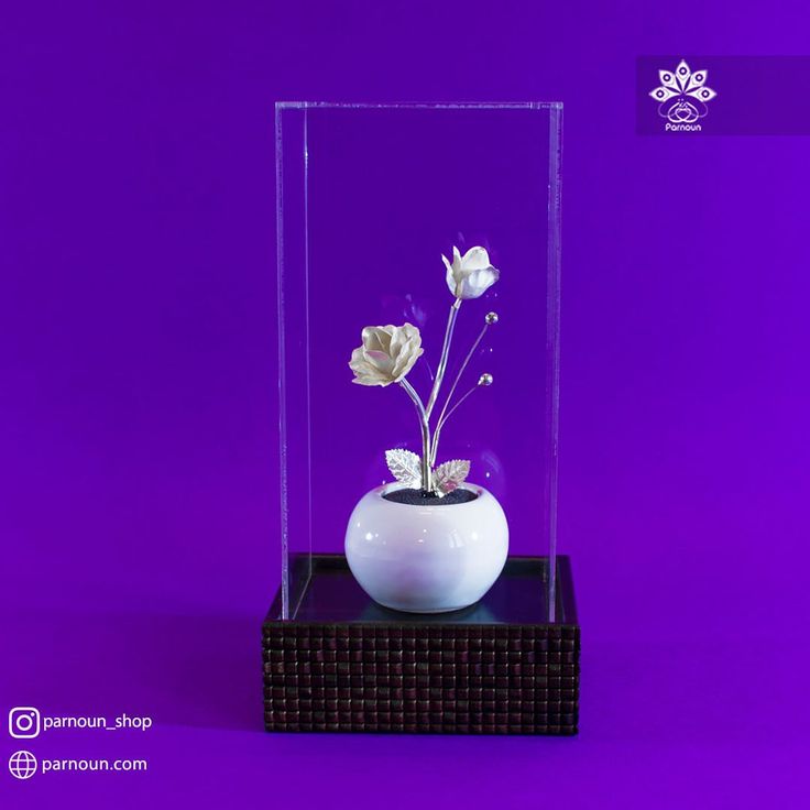 هدیه برای استقبال از مسافر